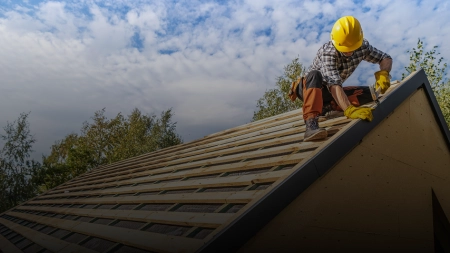 blog article 1 large